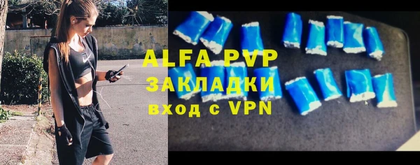 стафф Арсеньев