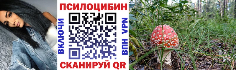 Галлюциногенные грибы прущие грибы  Купить закладки  Старая Русса 